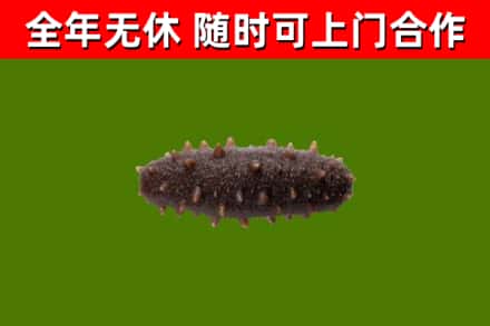 永泰烟酒回收干海参.jpg